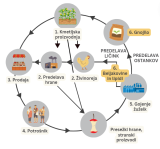 proces insektne biokonverzije in kroznost.png