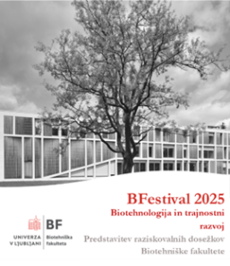 LOGO_BFestival