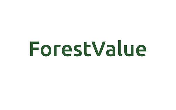 forest-value_.jpg