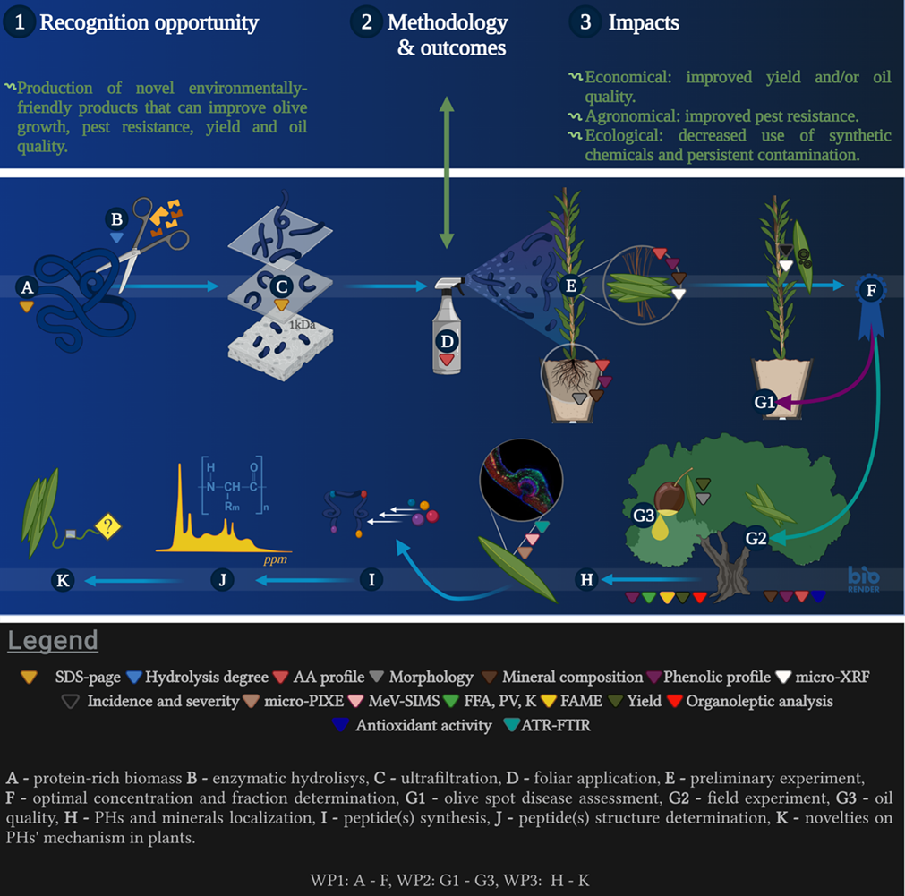 Graphical abstract_N4-0346