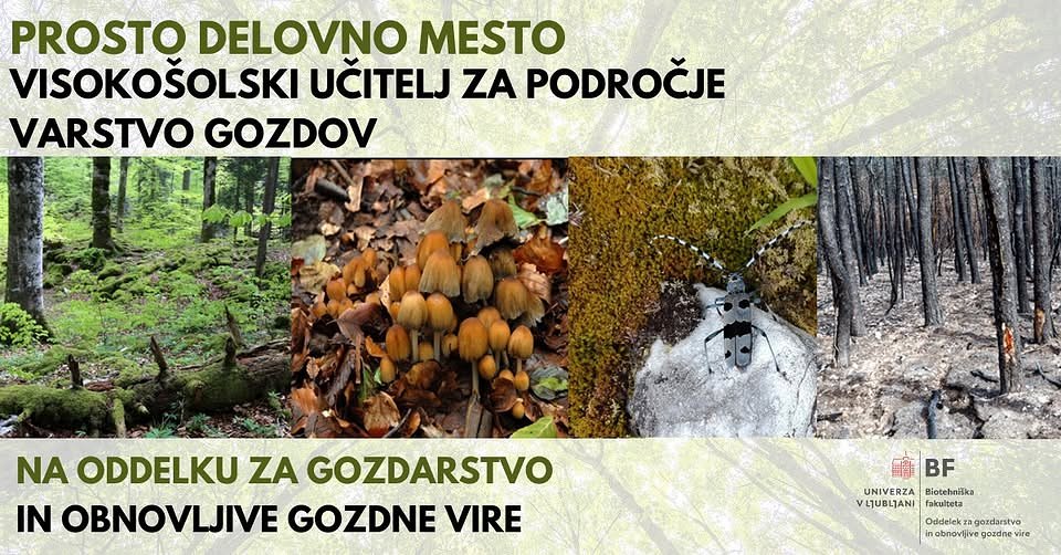 PROSTO DELOVNO MESTO